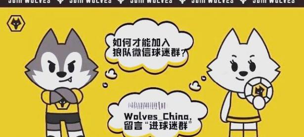 三亿体育体育在线登录-狼队主场战平对手，保持不败战绩