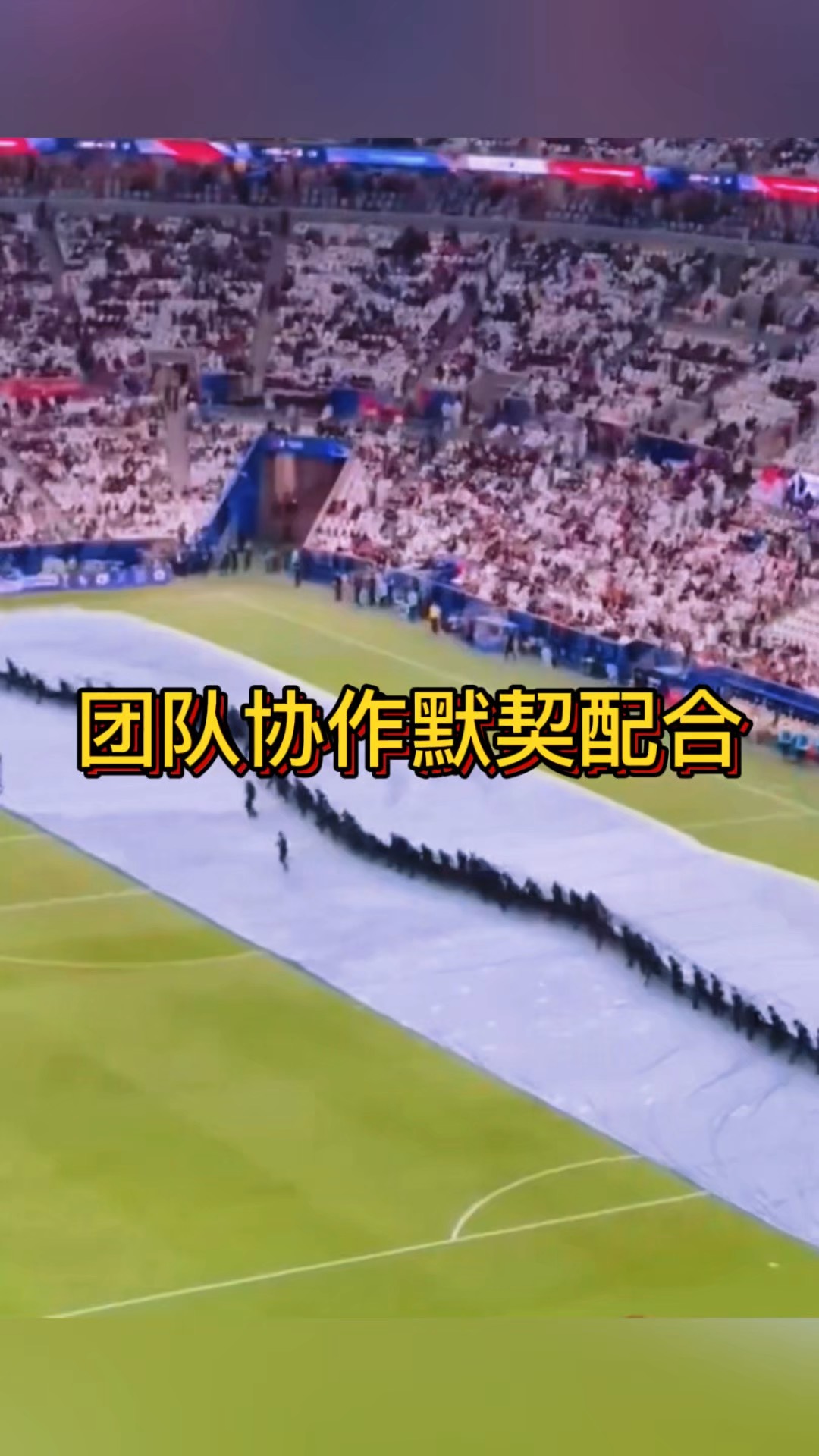 队员集体协作，才华横溢赢得头筹